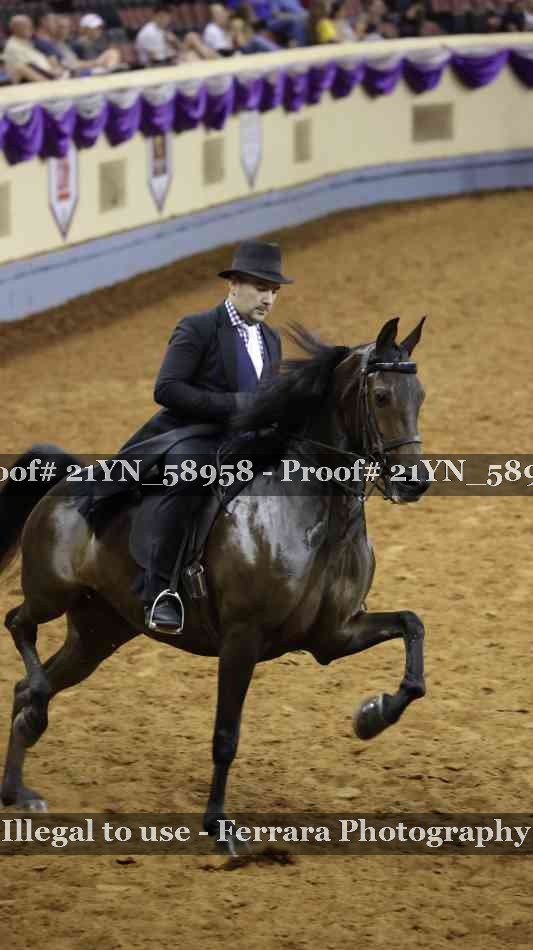 Proof Number 21YN_58958