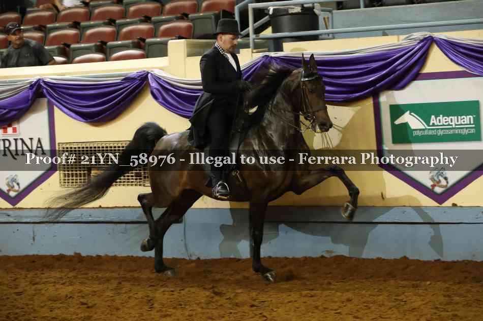 Proof Number 21YN_58976