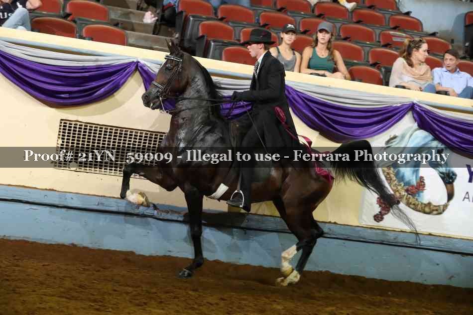 Proof Number 21YN_59009