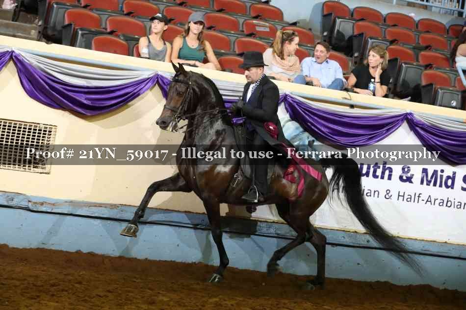 Proof Number 21YN_59017