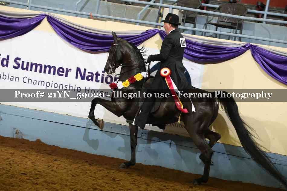 Proof Number 21YN_59020