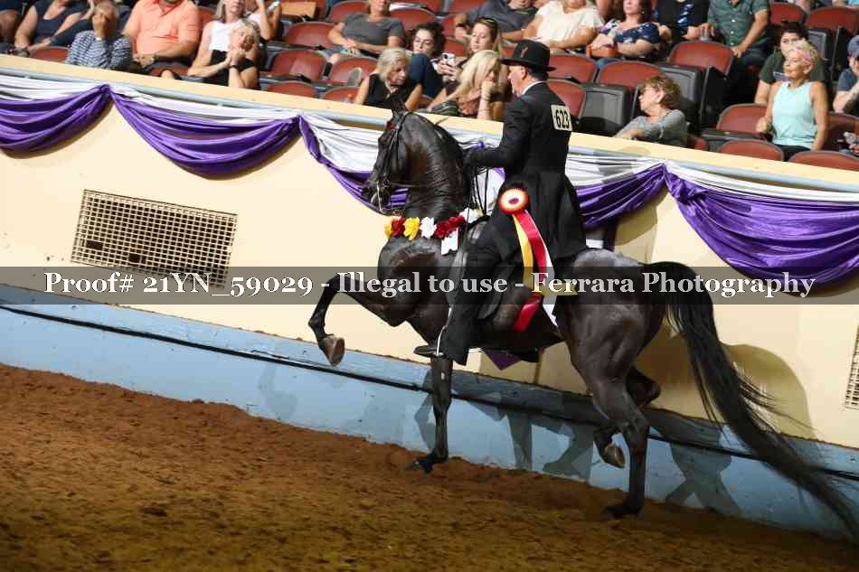 Proof Number 21YN_59029