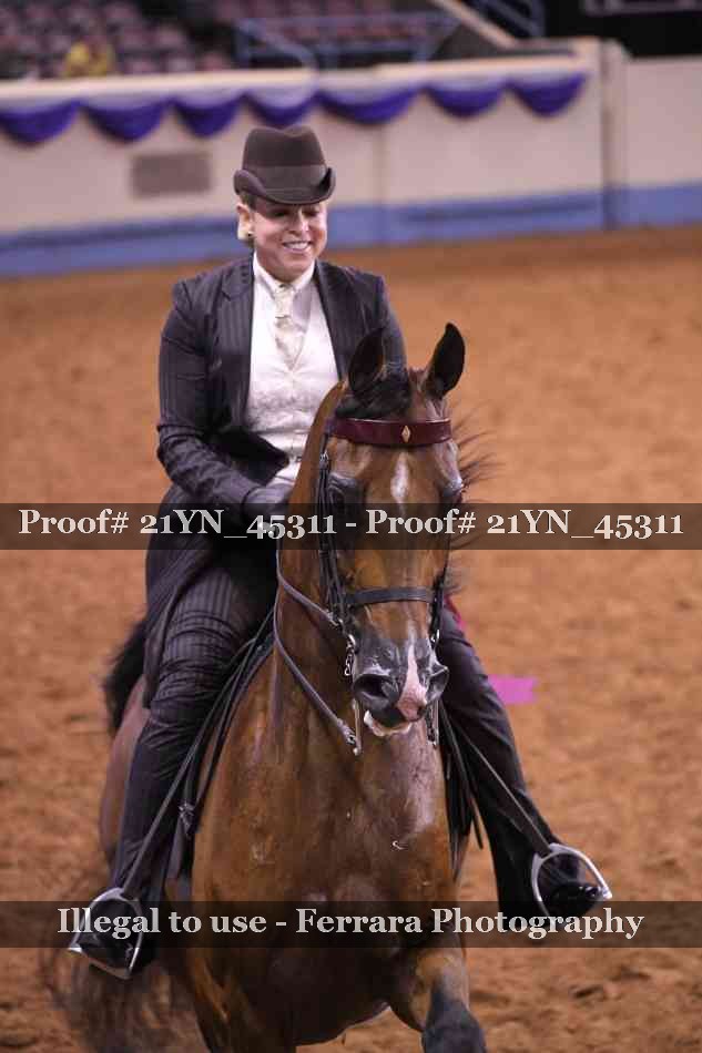 Proof Number 21YN_45311