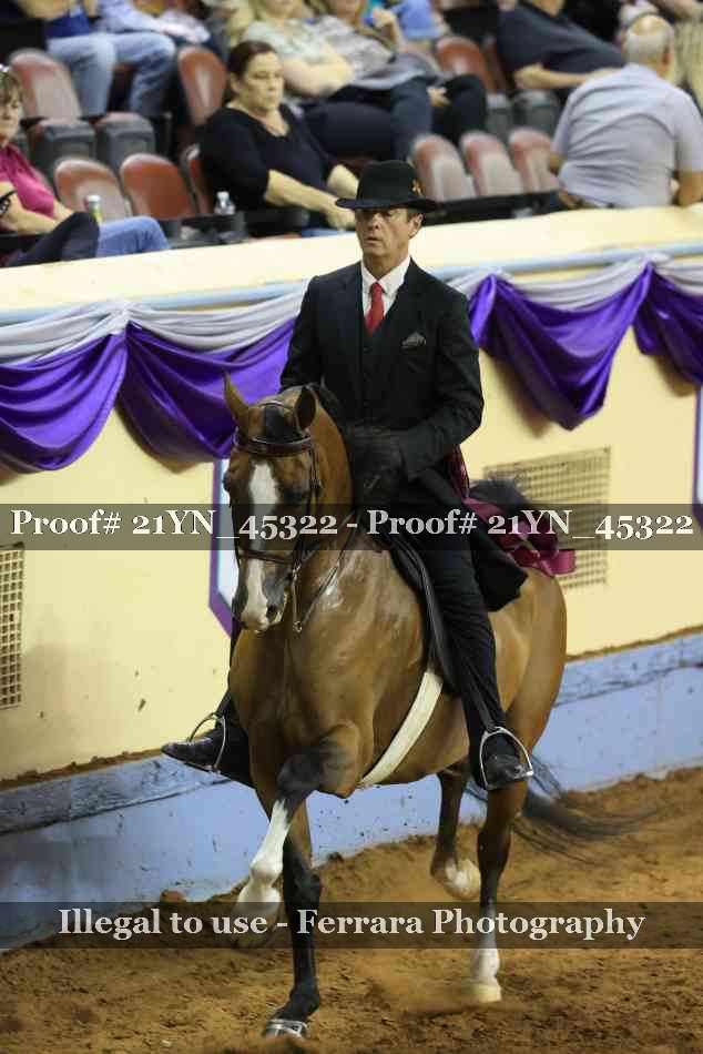 Proof Number 21YN_45322