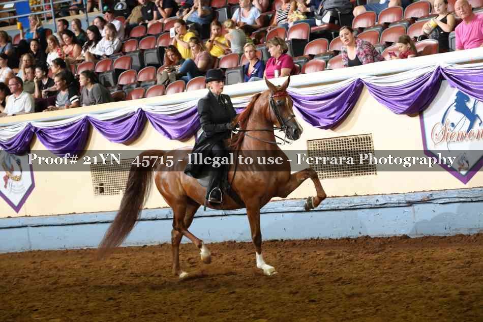 Proof Number 21YN_45715