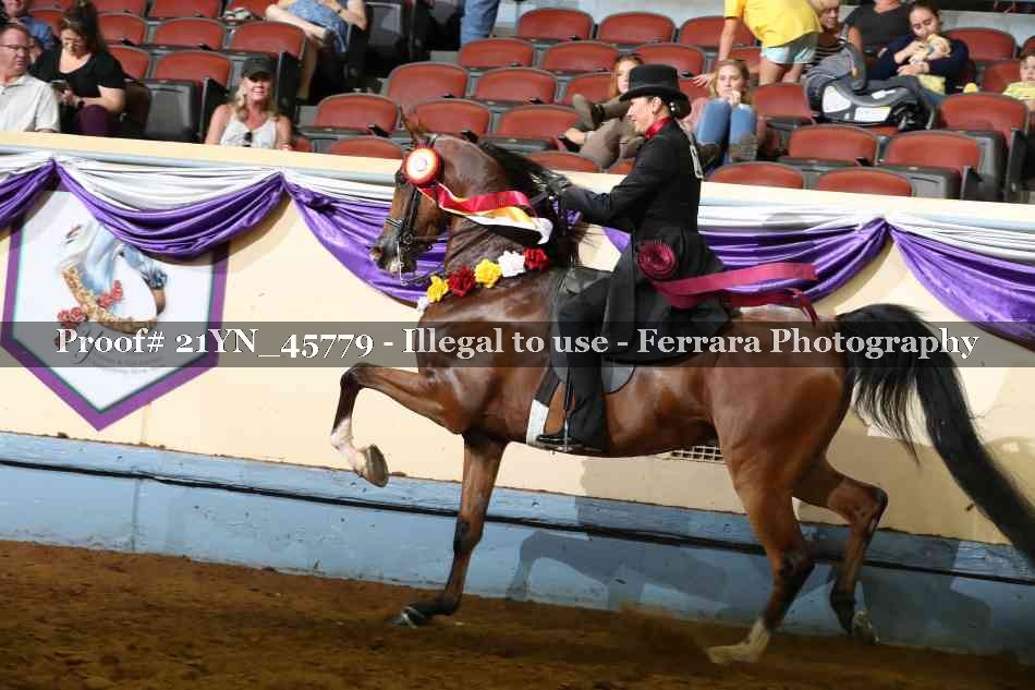 Proof Number 21YN_45779
