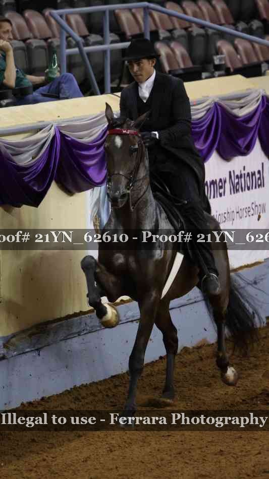 Proof Number 21YN_62610