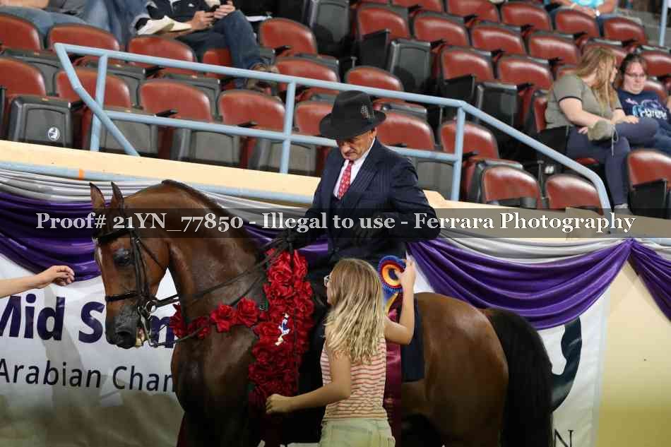 Proof Number 21YN_77850