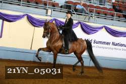 21YN_05031 thumbnail