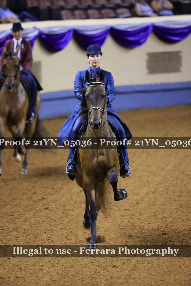 Proof Number 21YN_05036