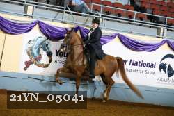 21YN_05041 thumbnail