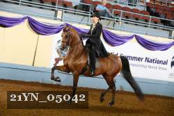 21YN_05042 thumbnail