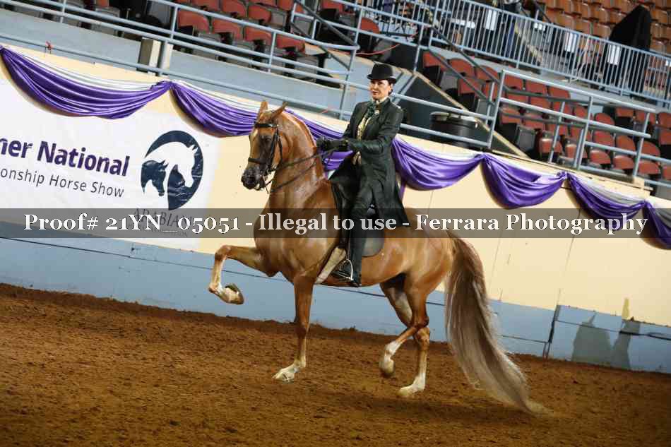 Proof Number 21YN_05051
