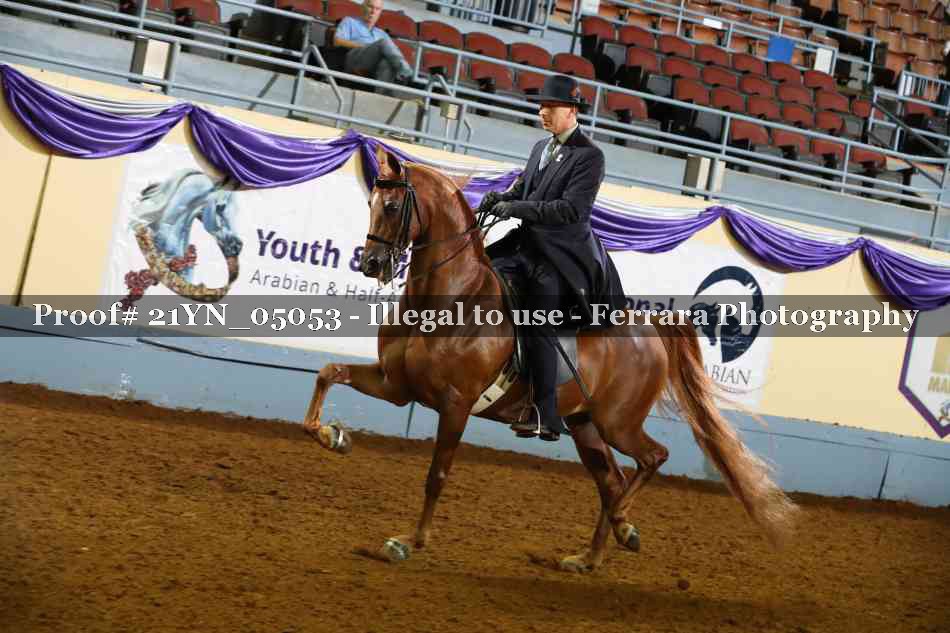 Proof Number 21YN_05053