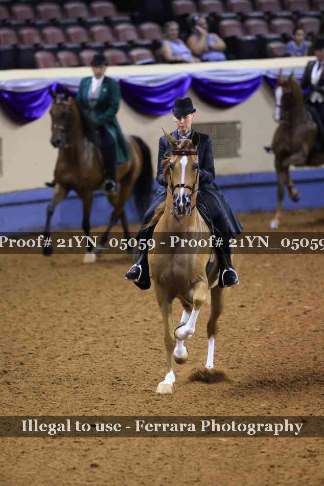 Proof Number 21YN_05059
