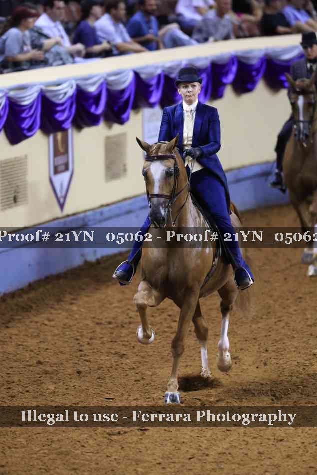 Proof Number 21YN_05062