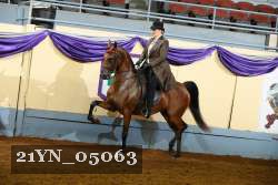 21YN_05063 thumbnail