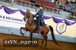 21YN_05070 thumbnail