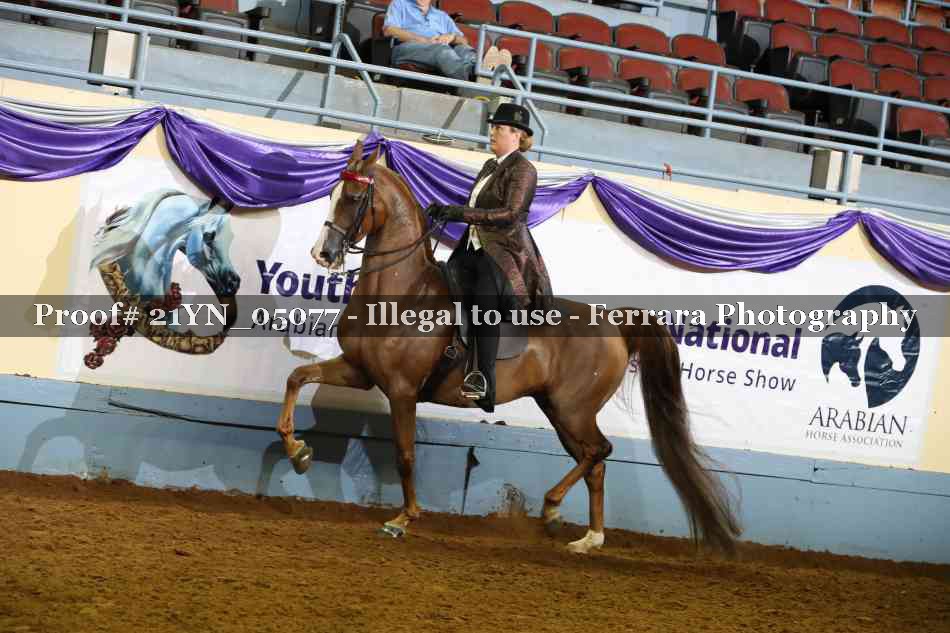 Proof Number 21YN_05077