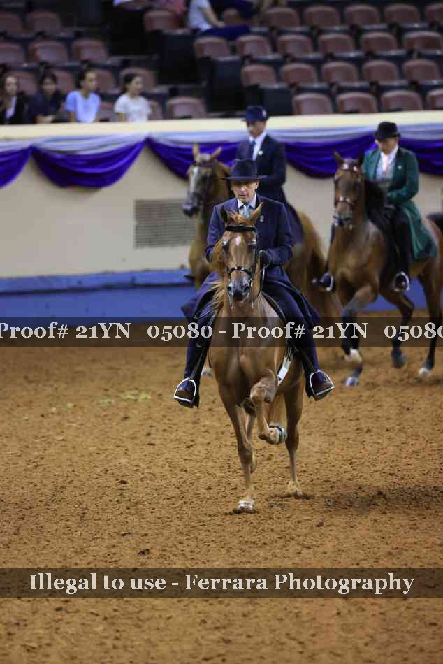 Proof Number 21YN_05080
