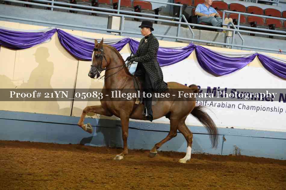 Proof Number 21YN_05083