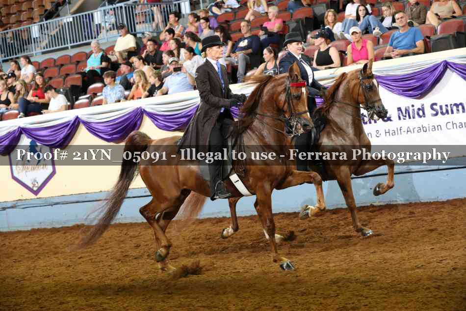 Proof Number 21YN_05091