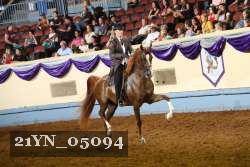 21YN_05094 thumbnail