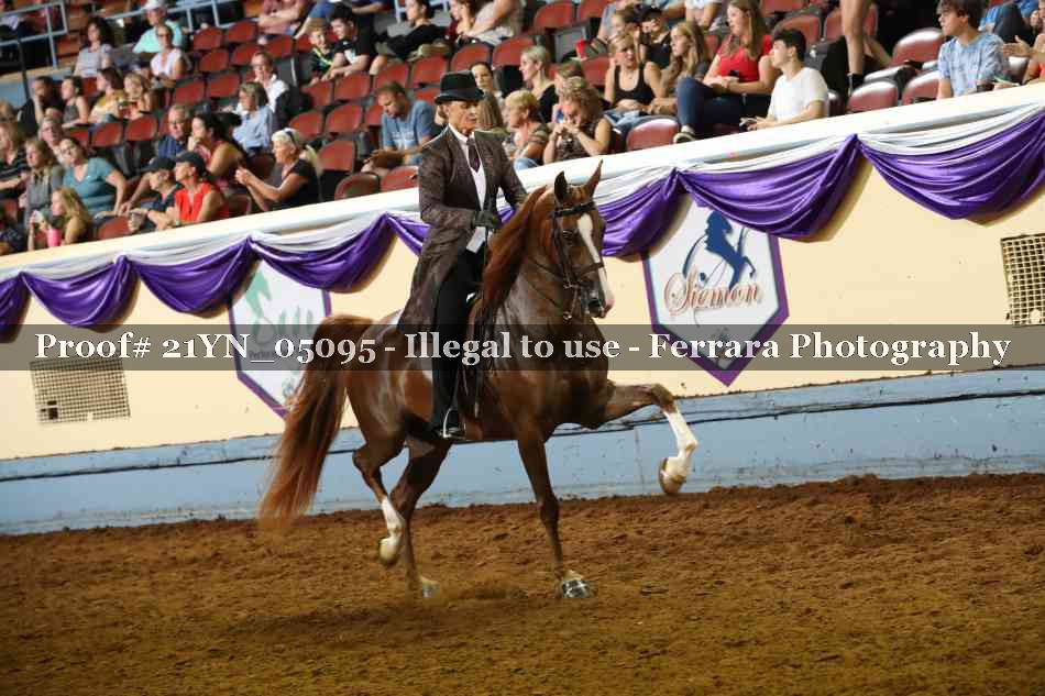 Proof Number 21YN_05095