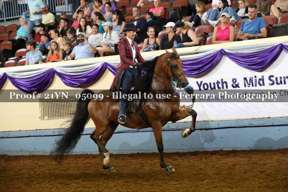 Proof Number 21YN_05099