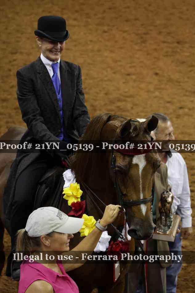 Proof Number 21YN_05139