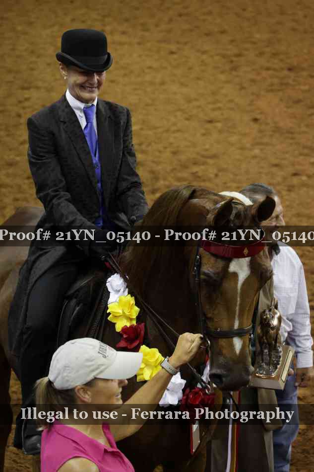 Proof Number 21YN_05140
