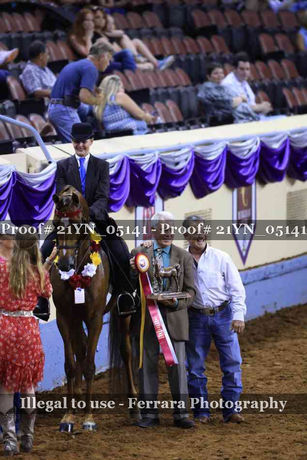 Proof Number 21YN_05141