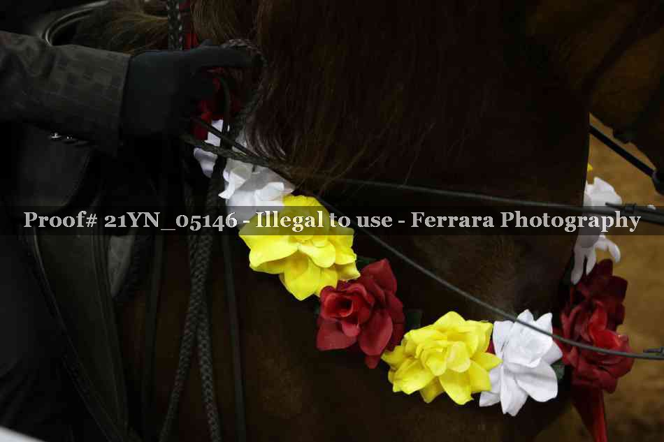 Proof Number 21YN_05146