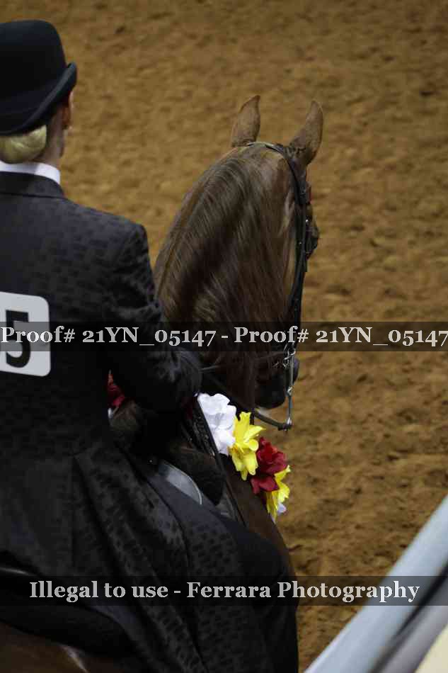 Proof Number 21YN_05147