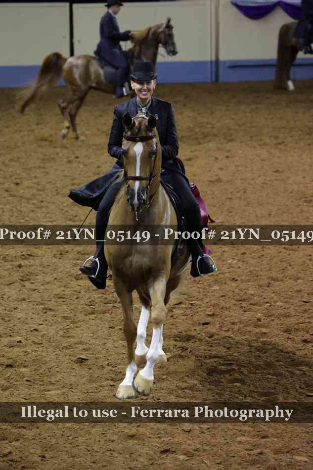 Proof Number 21YN_05149