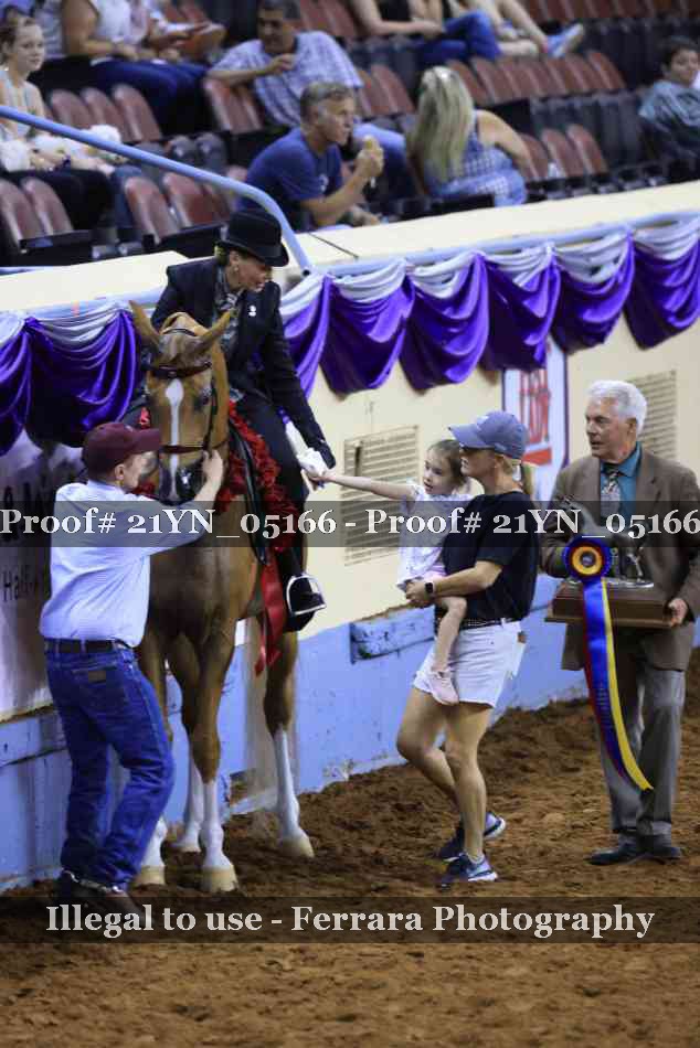 Proof Number 21YN_05166