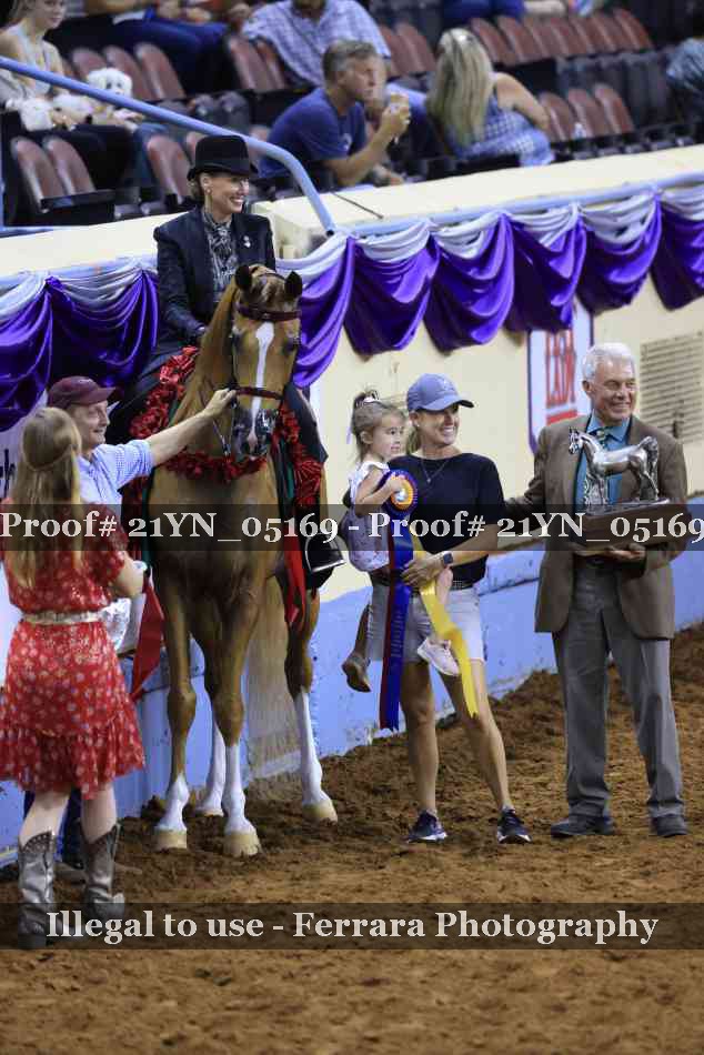 Proof Number 21YN_05169