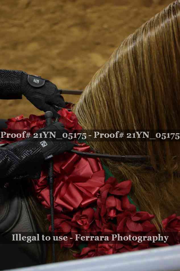 Proof Number 21YN_05175