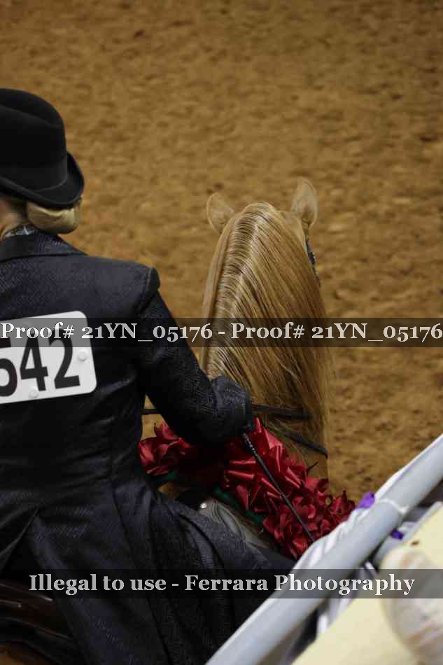 Proof Number 21YN_05176