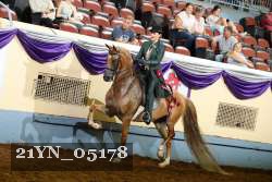 21YN_05178 thumbnail
