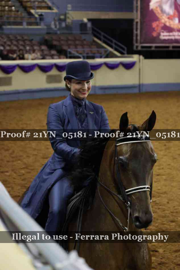 Proof Number 21YN_05181