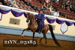 21YN_05185 thumbnail