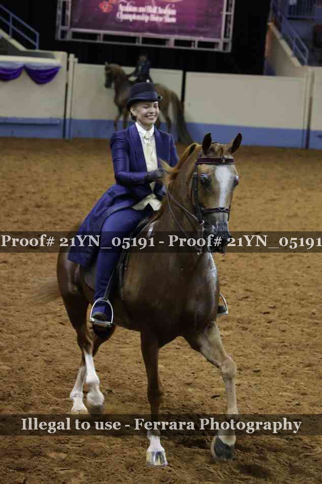 Proof Number 21YN_05191