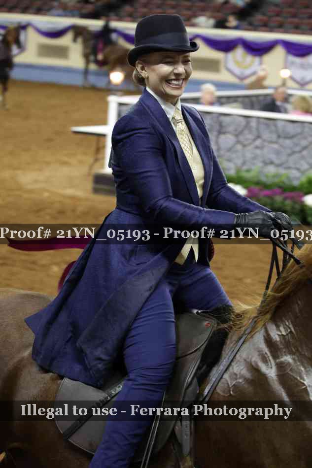 Proof Number 21YN_05193