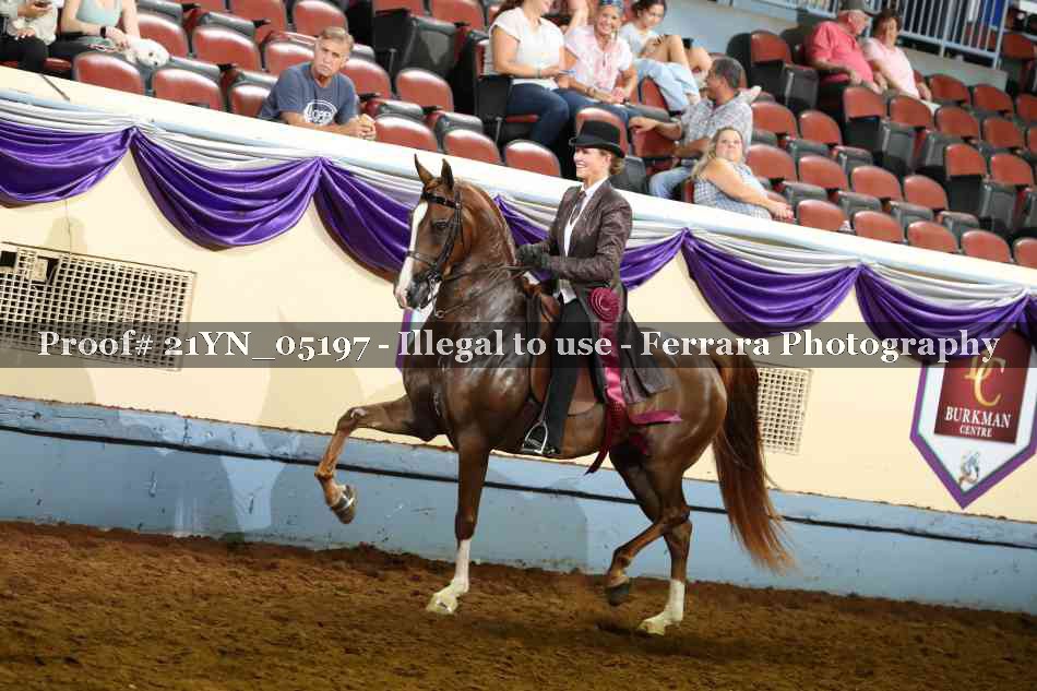 Proof Number 21YN_05197