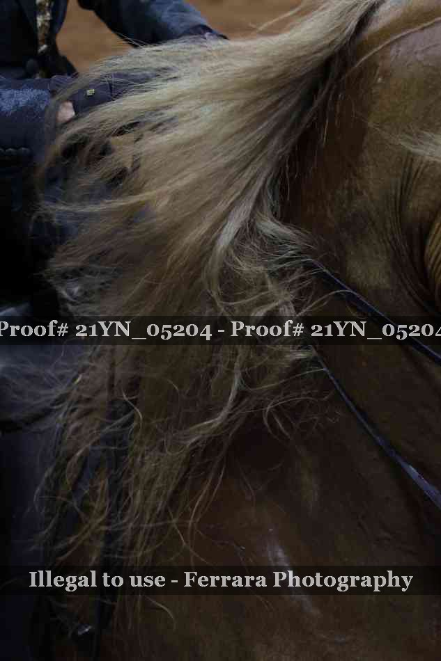 Proof Number 21YN_05204