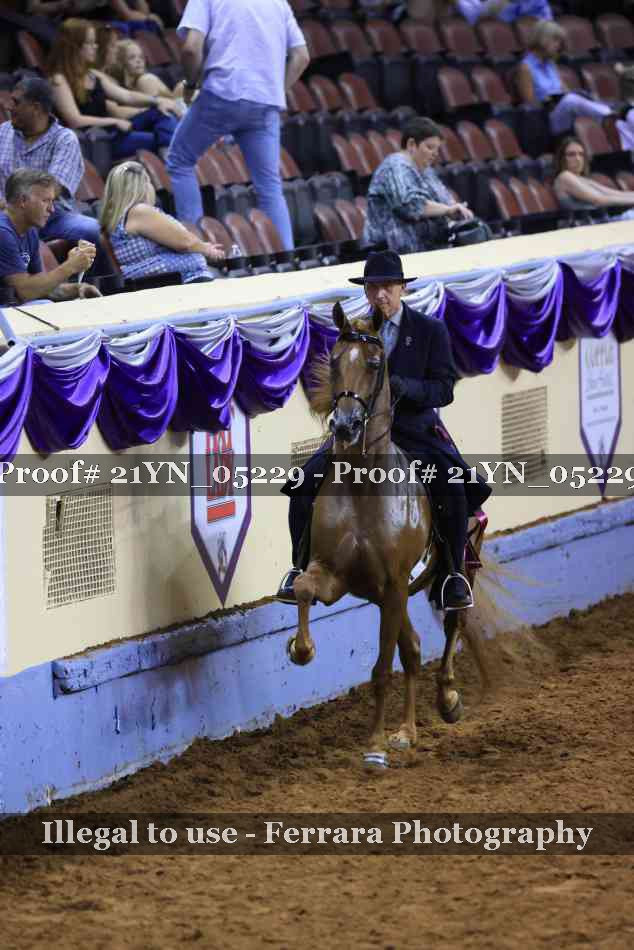 Proof Number 21YN_05229