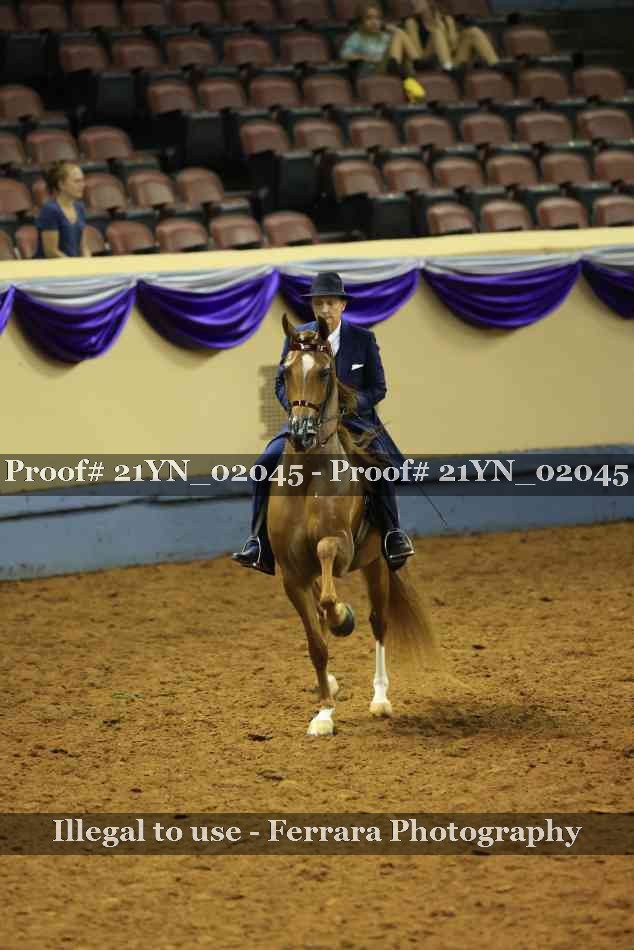 Proof Number 21YN_02045