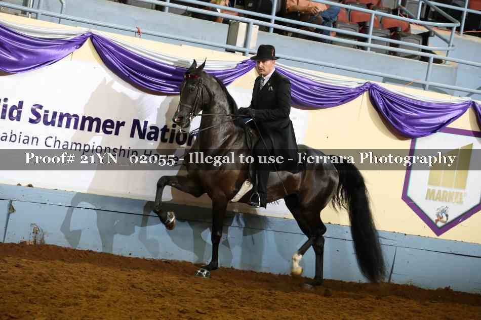 Proof Number 21YN_02055