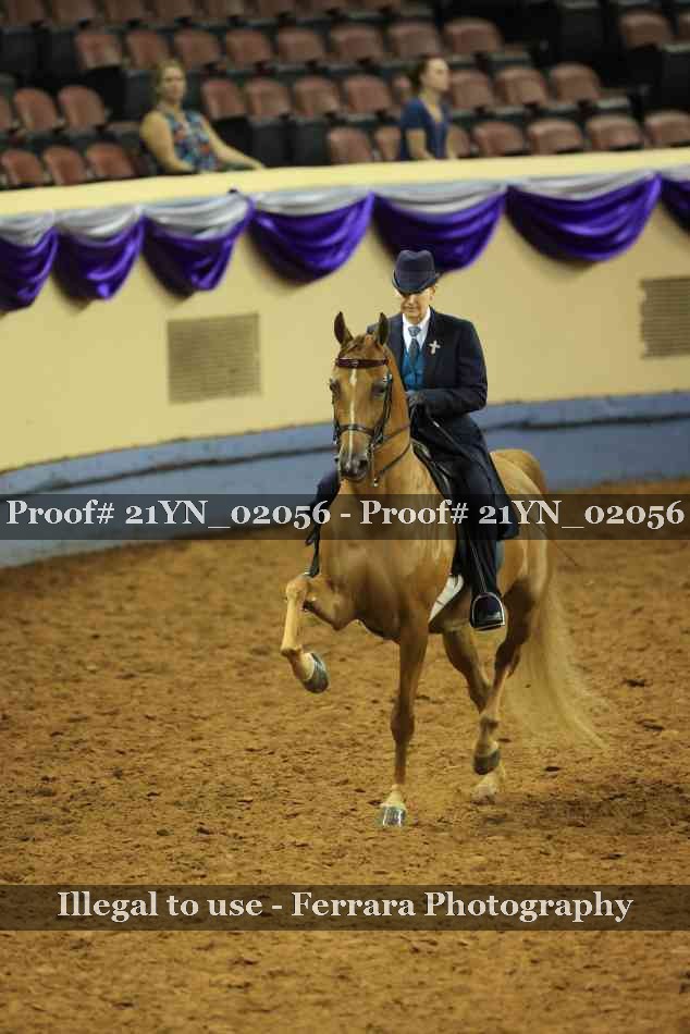 Proof Number 21YN_02056